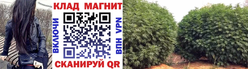 Наркошоп купить Лсд 25  СК  Меф мяу мяу  Гашиш  Бор