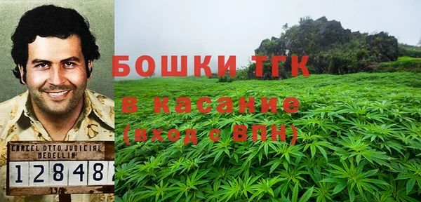 дурь Ладушкин