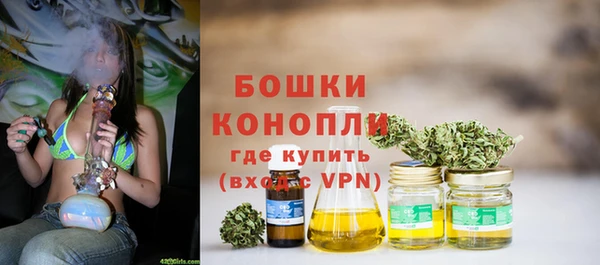 дурь Ладушкин