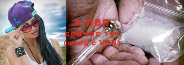 ГАЛЛЮЦИНОГЕННЫЕ ГРИБЫ Лабытнанги