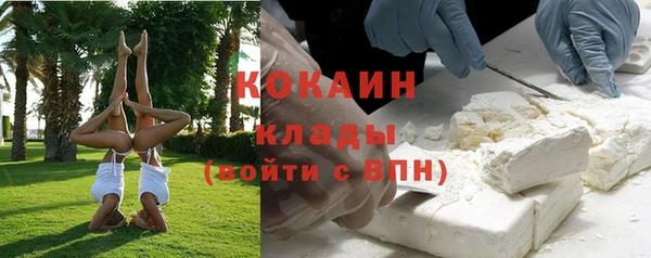 дурь Ладушкин