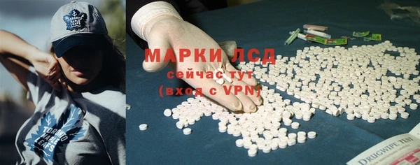 стаф Липки